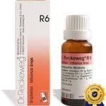 DR.RECKEWEG R6-Influenza Drops (22 ml)