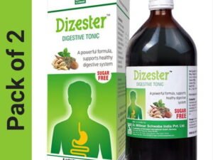 Dr.Willmar Schwabe India Dizester Syrup (2 x 500)