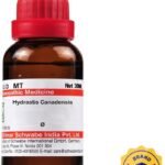 Dr.Willmar Schwabe India Hydrastis Canadensis Q Liquid (2 x 30 ml)